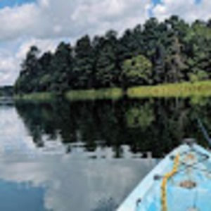 Meet your Posher, Abi